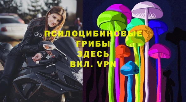 бутират Алзамай